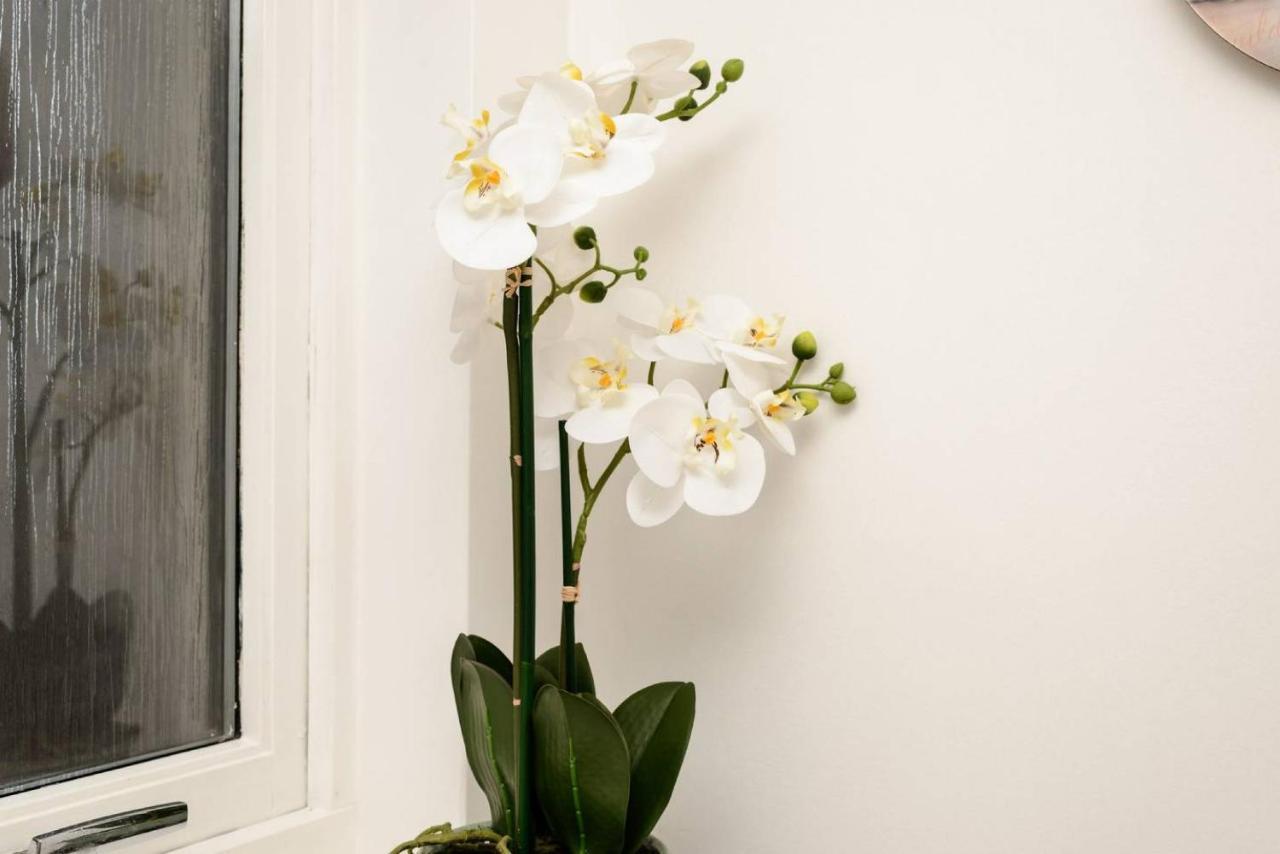 Altido Lovely Apartment For 4 With Free Parking Edinburgh Eksteriør bilde